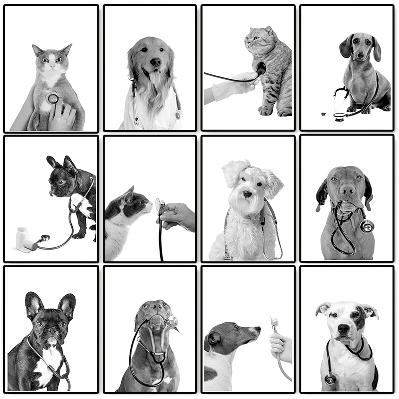 Stethoscope - Pôster de Veterinário com Cães e
