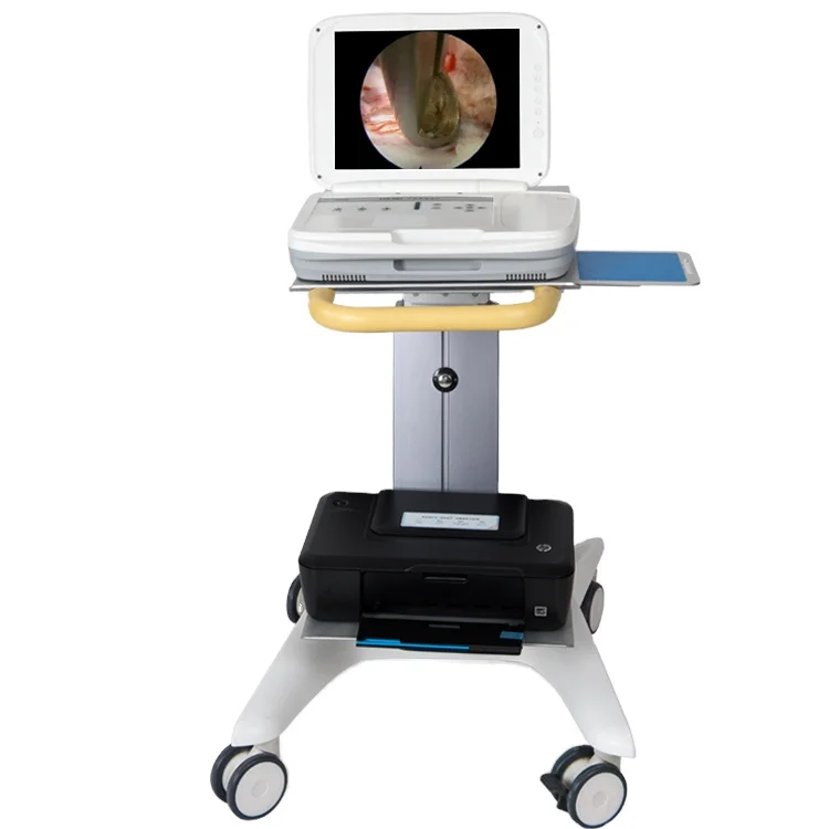 Sistema de Endoscopia Portátil - Medical Lab Images avaliação e preço